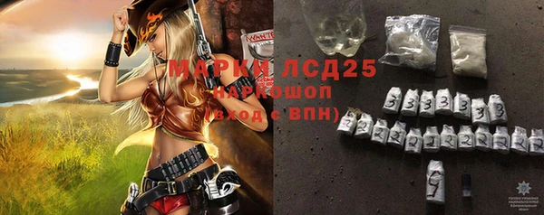 стаф Приозерск