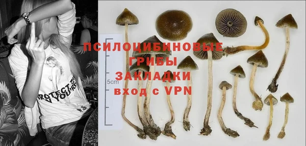 не бодяженный Пролетарск