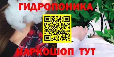 тгк Кимры