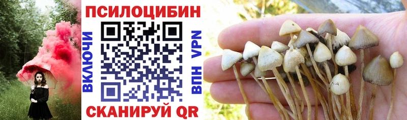 Псилоцибиновые грибы Psilocybine cubensis  Соль-Илецк 