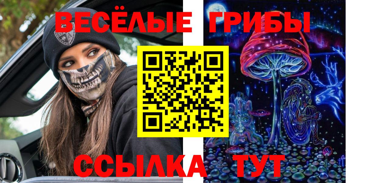 где купить наркоту  Вход с VPN  Соль-Илецк  Псилоцибиновые грибы Psilocybine cubensis  Псилоцибиновые грибы Psilocybine cubensis 