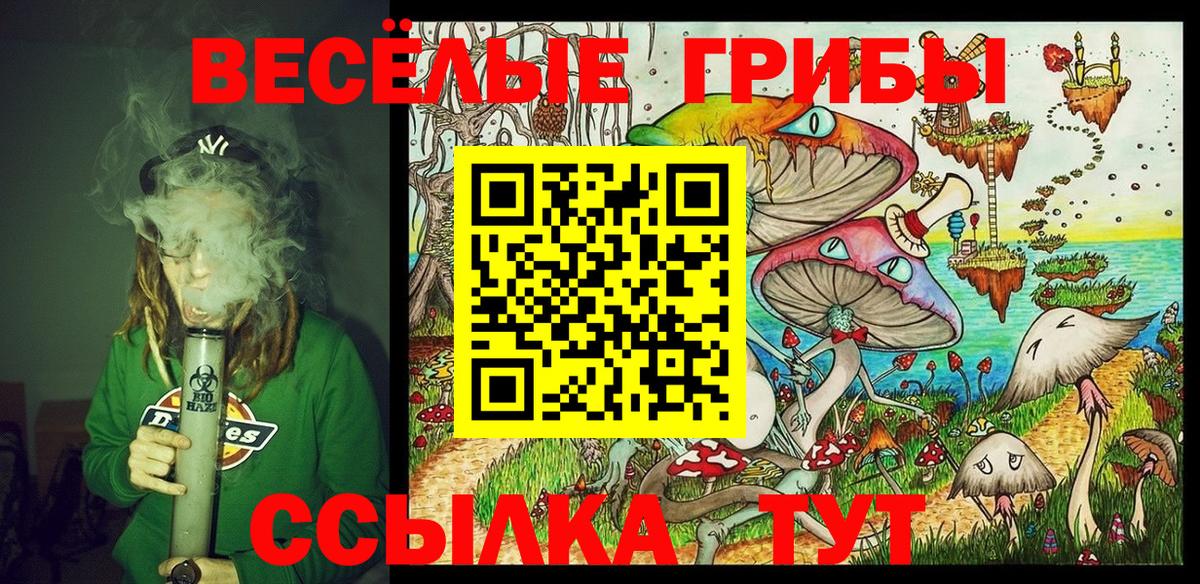 Галлюциногенные грибы MAGIC MUSHROOMS Соль-Илецк